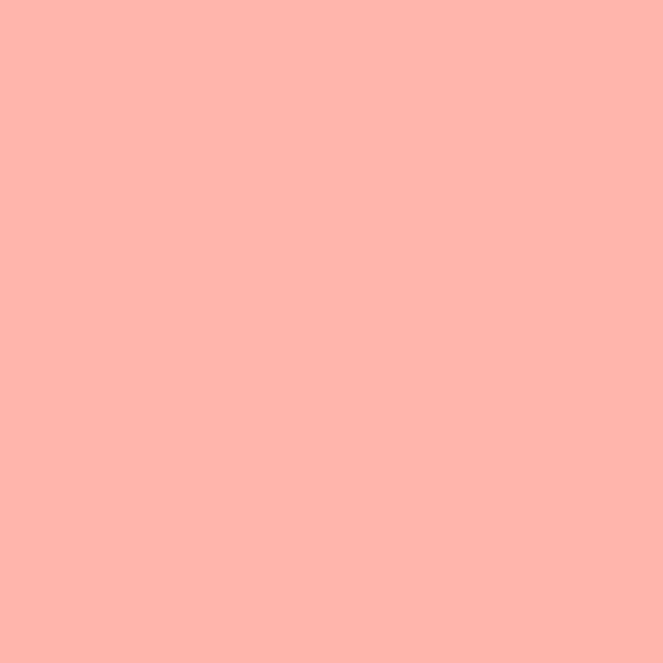 ROULEAU DE FILTRE LEE FILTERS 109 LIGHT SALMON