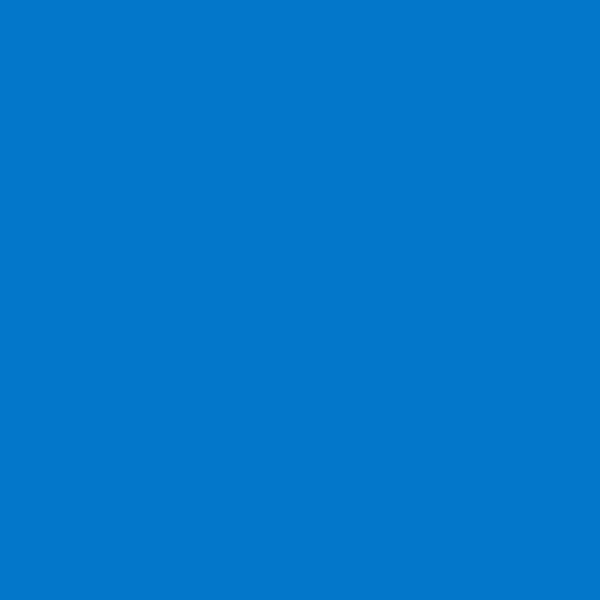 ROULEAU DE FILTRE LEE FILTERS 119 DARK BLUE