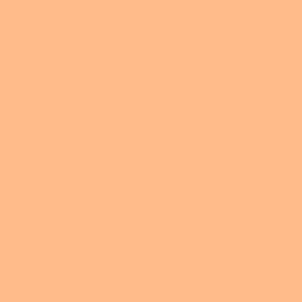 ROULEAU DE FILTRE LEE FILTERS 146 APRICOT