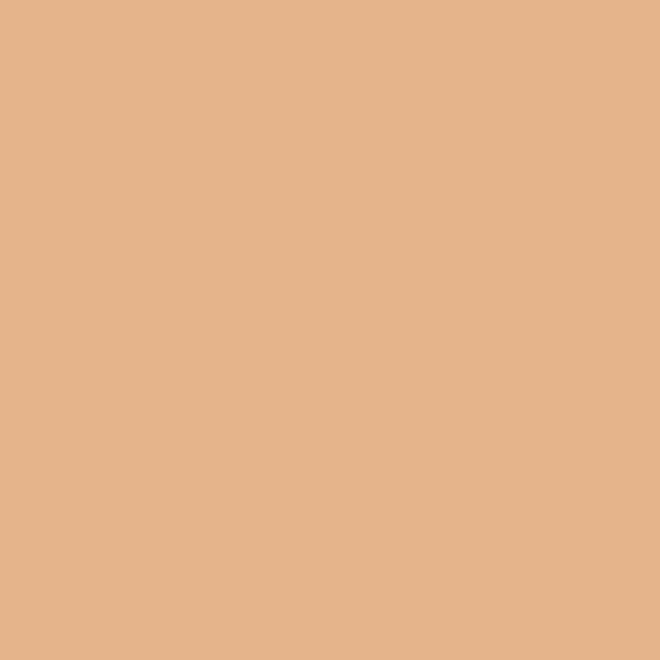 ROULEAU DE FILTRE LEE FILTERS 156 CHOCOLATE
