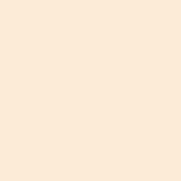 Lee Filters Fitre 206 1/4 CT0 (feuille)