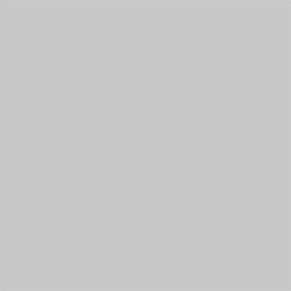 FILTRE LEE FILTERS 209 GRIS NEUTRE 0.3ND (feuille)