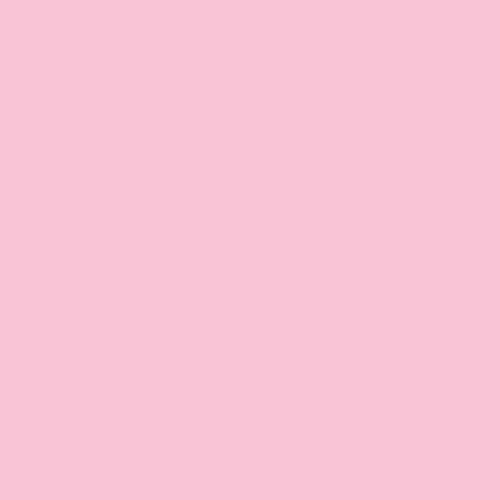 FILTRE LEE FILTERS 247 LEE MINUS GREEN (feuille)