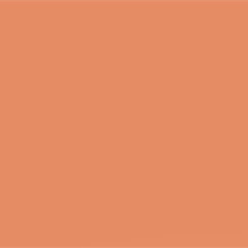 FILTRE LEE FILTERS 017 SURPRISE PEACH (feuille)