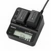 CHARGEUR DOUBLE POUR BATTERIE SERIE P /H/V