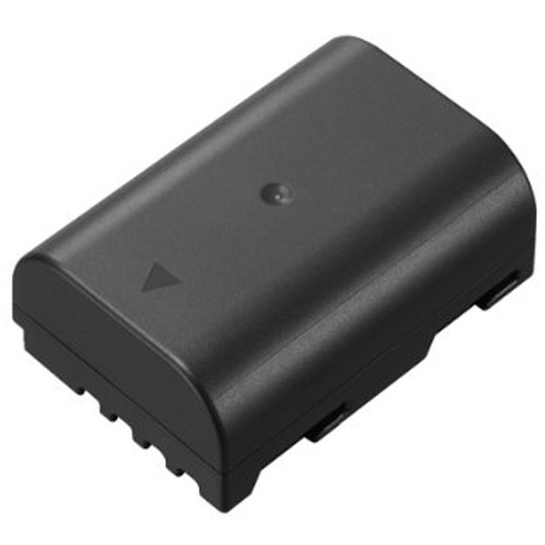 Panasonic DMW-BLF19E - Batterie DSLR