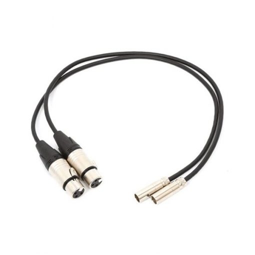Blackmagic Design Set de 2 Cables Audio Mini XLR to XLR pour Video Assist 4K - Cordons
