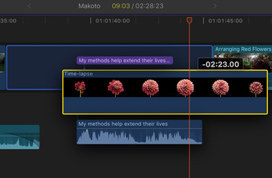 Apple Final Cut Pro 11 - Logiciel de montage
