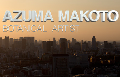 Apple Final Cut Pro 11 - Logiciel de montage