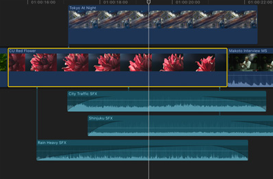 Apple Final Cut Pro 11 - Logiciel de montage