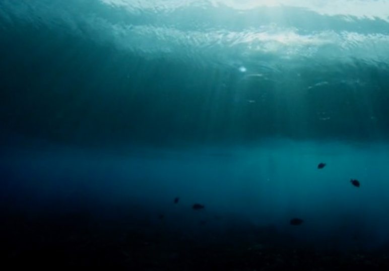 Water II, le nouveau chef d’oeuvre de Morgan Maassen