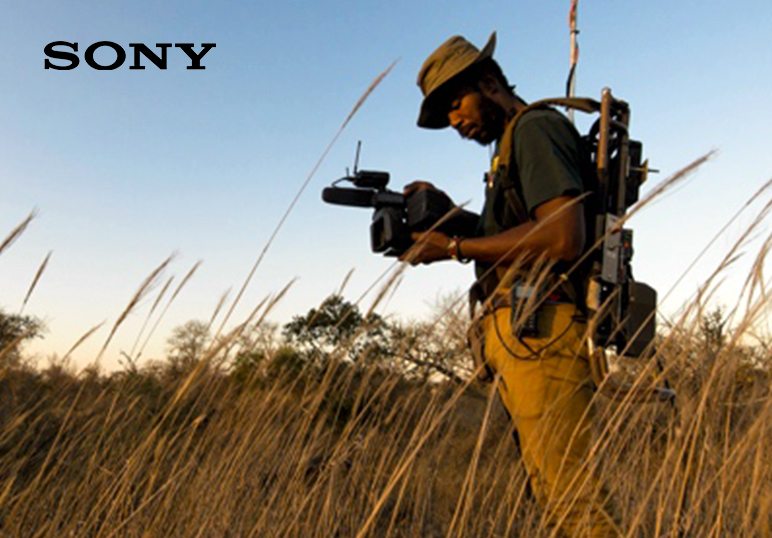 Emission en direct au cœur de la savane africaine