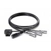 Blackmagic Design Pocket Camera DC Cable Pack - Cordons d'alimentation pour Pocket Camera