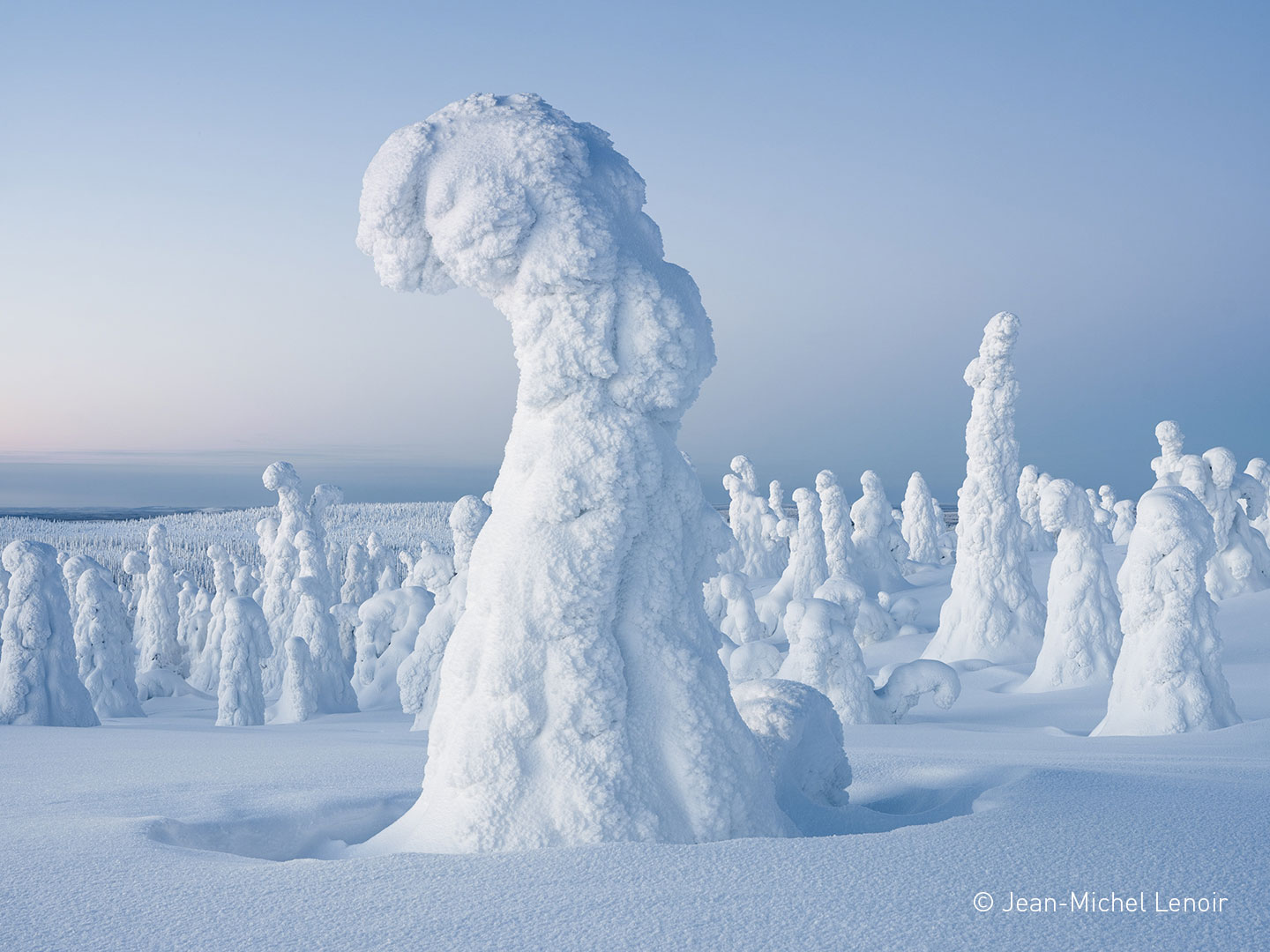 TRM et RED, partenaires du FIFPAN !