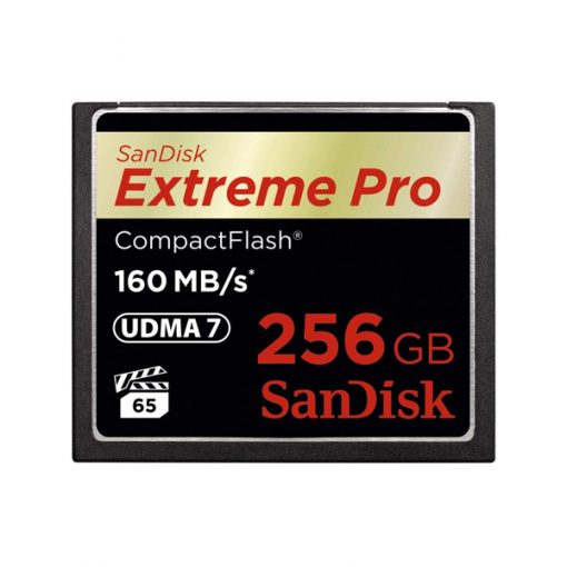 SanDisk Extreme Pro 128 Go - carte CompactFlash