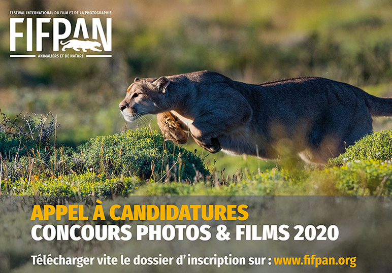 [FIFPAN] Participez aux concours Photos & Films 2020