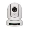 BirdDog Eyes P200 (blanc) - caméra PTZ