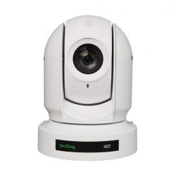 BirdDog Eyes P200 (blanc) - caméra PTZ