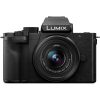 Panasonic Lumix DC-G100 avec 12-32mm F3.5-5.6 - Appareil Photo avec Objectif