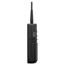 uwp-d21_1