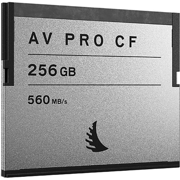 Angelbird AV Pro CF (256GB)