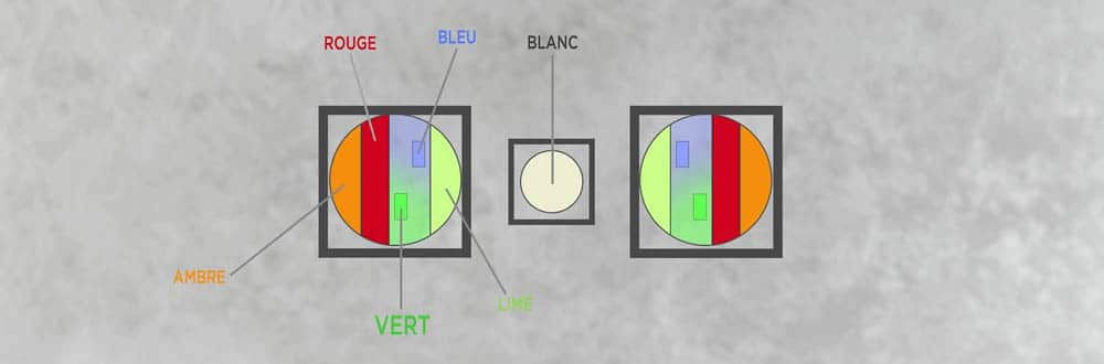 DMG Dash : Une minette révolutionnaire !