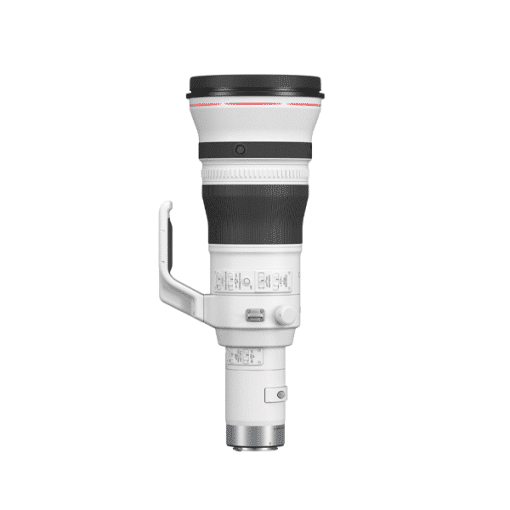 Canon RF 800mm F5.6 L IS USM - Téléobjectif