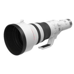RF 800mm F5.6L IS USM