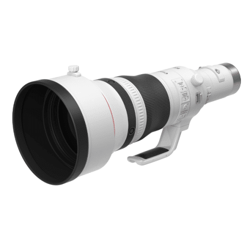 Canon RF 800mm F5.6 L IS USM - Téléobjectif