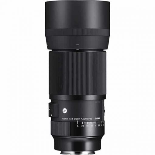 Sigma 105mm F2.8 DG DN Macro (Sony E) - Objectif