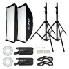 Nanlite FS-300 Dual Kit – Projecteur LED