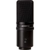 Zoom ZUM-2 - Microphone