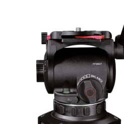 Cartoni Focus 12