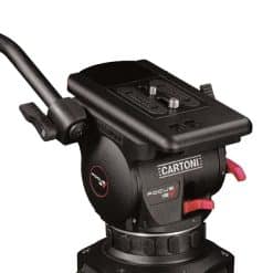 Cartoni Focus 12