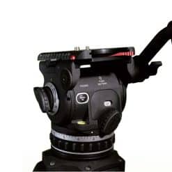 Cartoni Focus 18 2