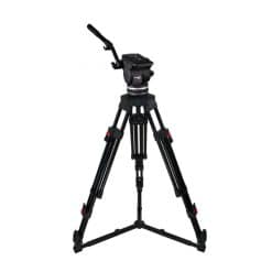 Cartoni Focus 18 EFP