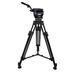 Cartoni Focus 22 EFP 1