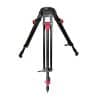 Cartoni T631 2 Red Lock 100