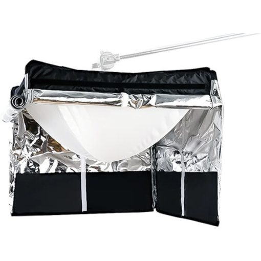 Amaran Lantern (F22)