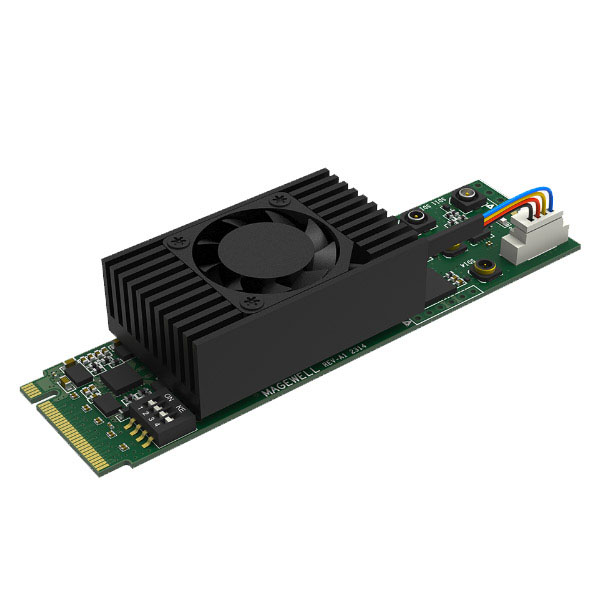 Magewell Eco Capture 12G SDI 4K Plus M.2 Magewell Eco Capture 12G SDI 4K Plus M.2