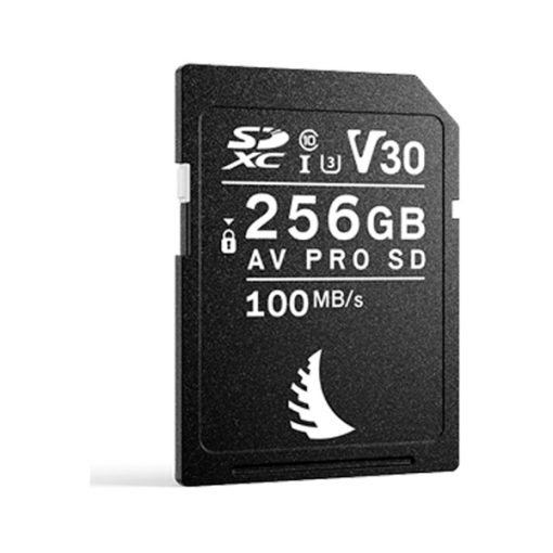 Angelbird AV PRO 256GB V30 - Carte SD