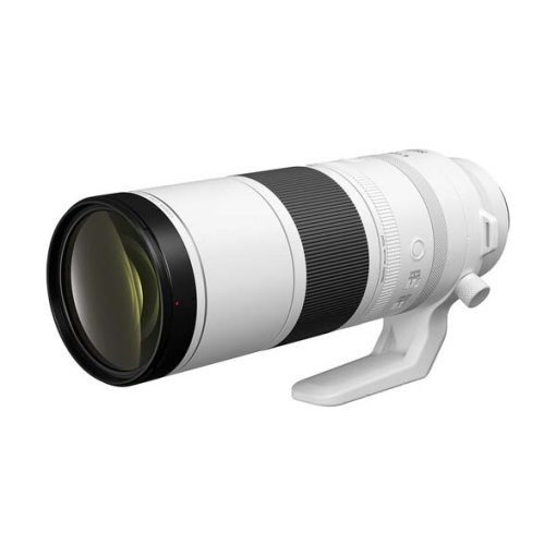 Canon RF 200-800mm F6.3-9 IS USM - Objectif