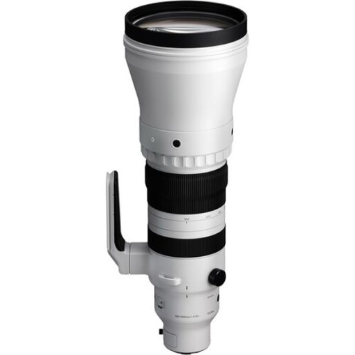 Sigma 300-600mm f:4 DG OS Sports (L Mount)_02