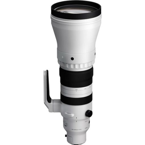 Sigma 300-600mm f:4 DG OS Sports (Sony E)_02