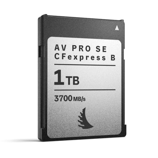 AngelBird CFexpress (SE, Type B, 1To) – Carte Mémoire
