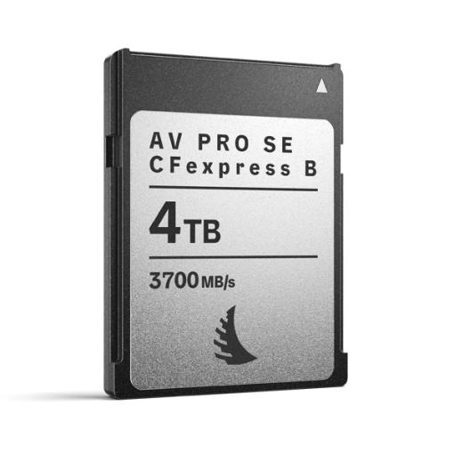 AngelBird CFexpress (SE, Type B, 4TB) – Carte Mémoire