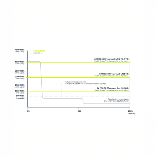 AngelBird CFexpress (SE, Type B, 512GB) – Carte Mémoire