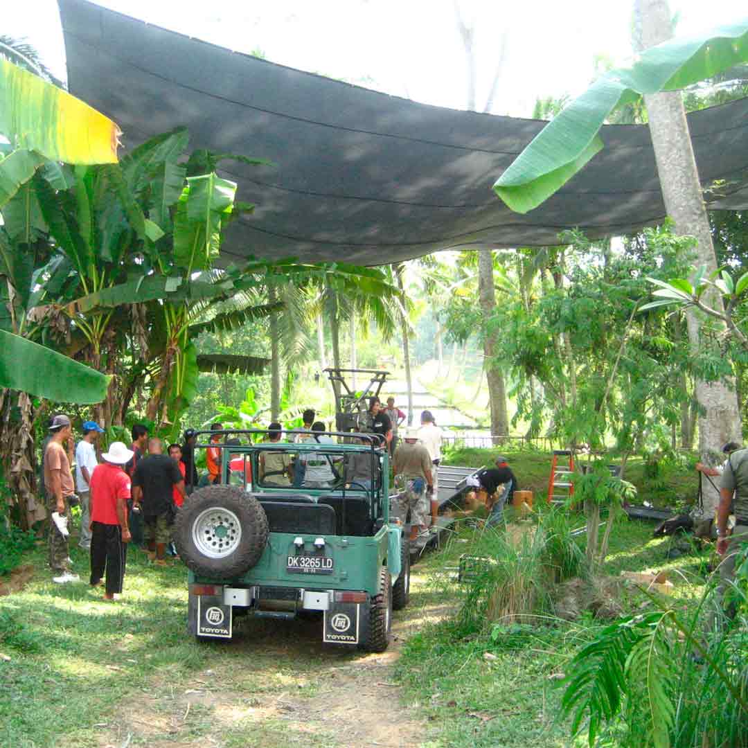 Daylight Toile Charcoal Vintage 1/2 12x12 (3.6x3.6m) Daylight Toile Charcoal Vintage 1/2 12x12 (3.6x3.6m)