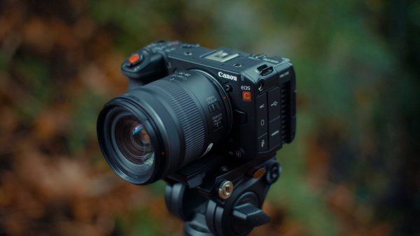 Canon EOS C50 : Elle a tout d’une grande !
