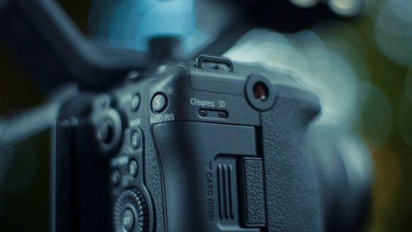 Canon EOS C50 : Elle a tout d’une grande !